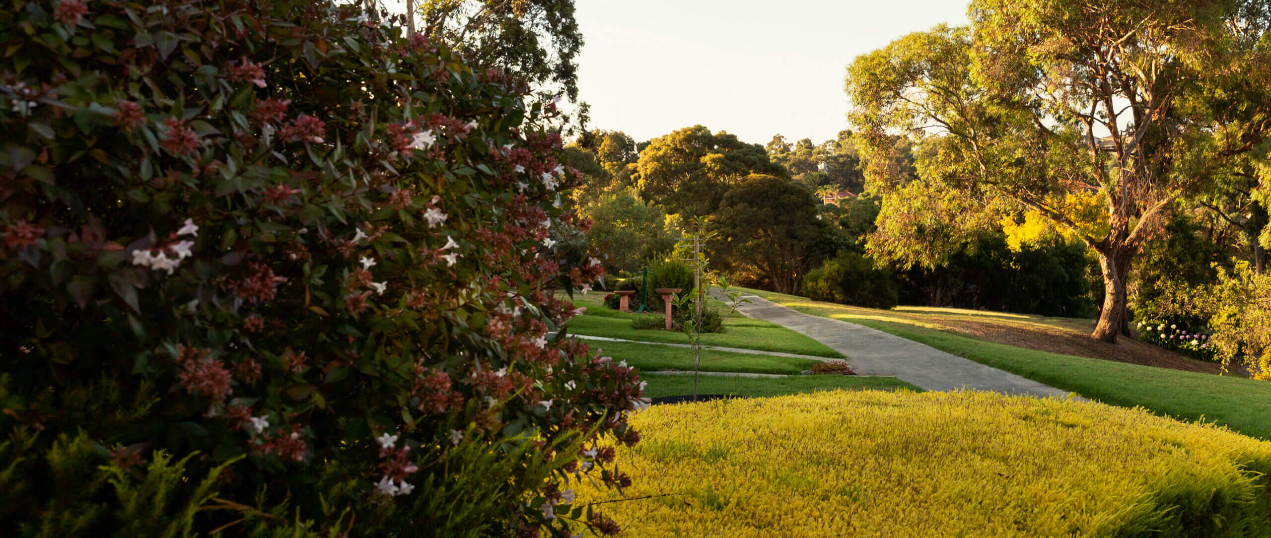 Cv Ourstory Hero Scaled