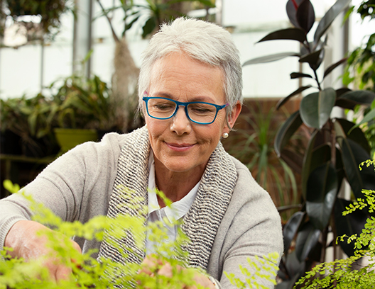 Cv Ourstory Image 01