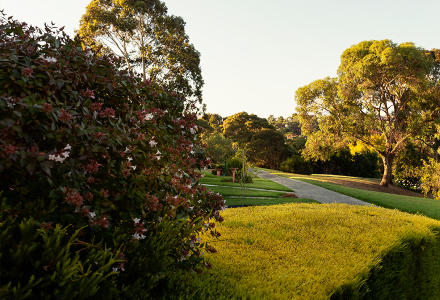 Cv Ourvillage Carousel Mobile 07