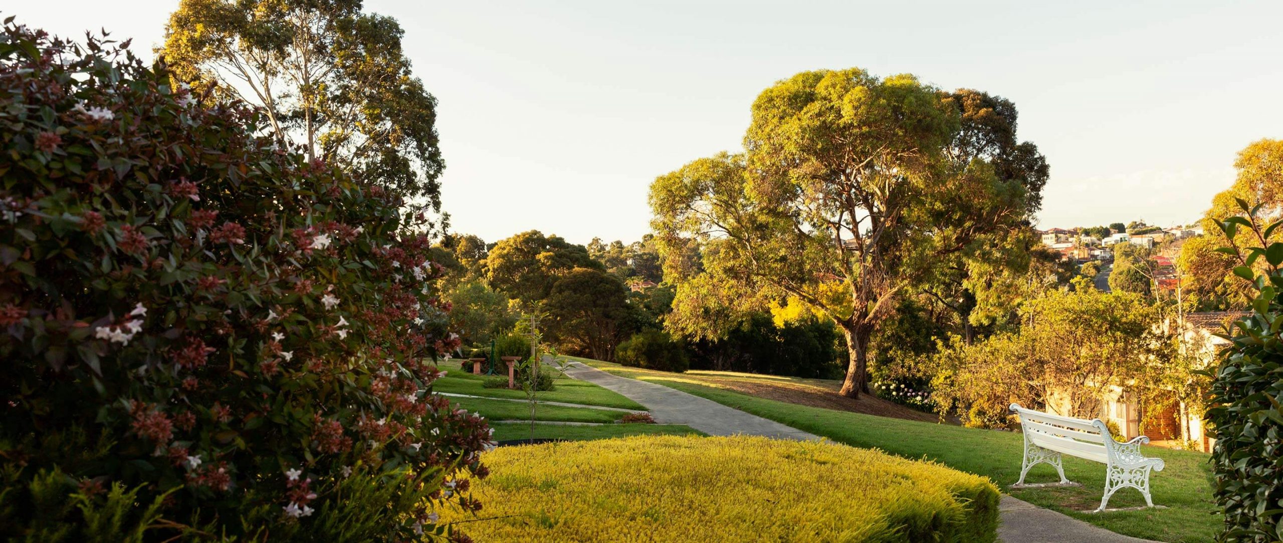 Cv News Welcome Back Hero 01