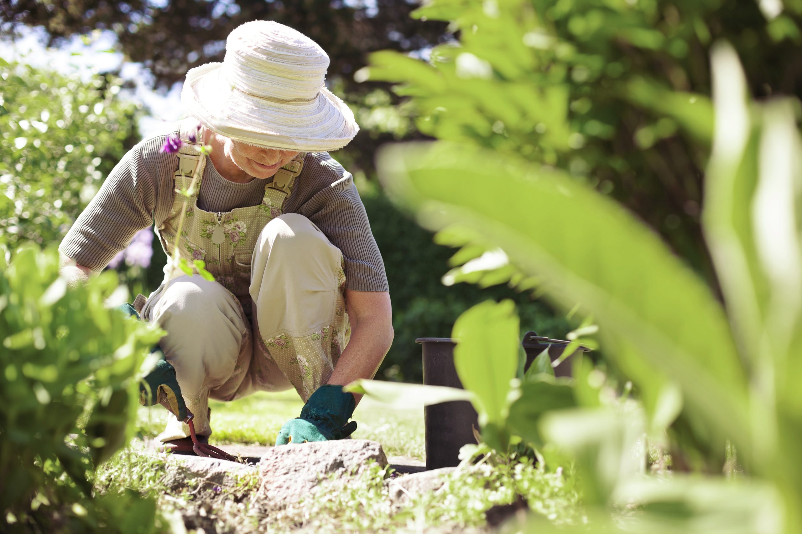 Senior Female Gardener Working In Her Garden